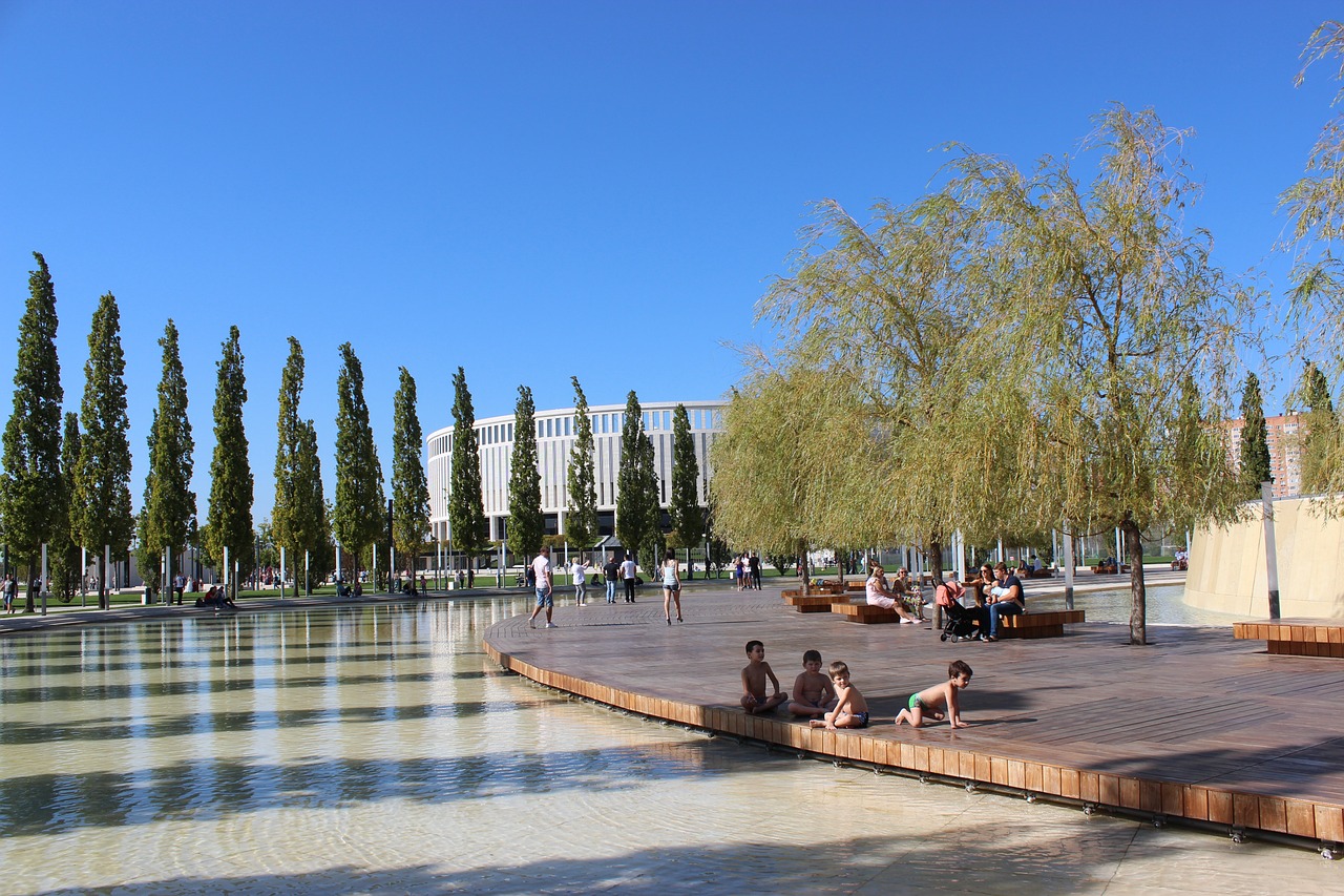 文化交流的 文化交流的