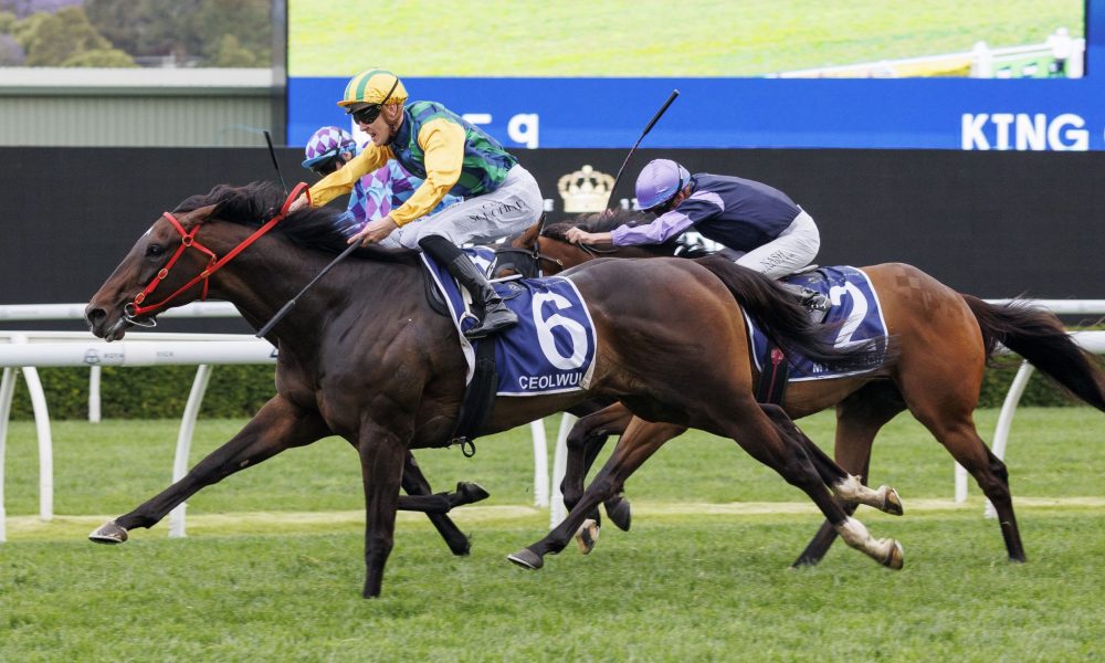 中超热身赛：申花5-3击败津门虎，米内罗斩获首球，热身赛4战3胜.